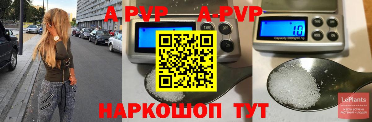 A PVP СК Фрязино
