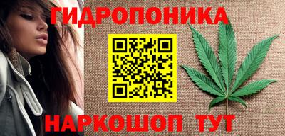 spice Усть-Джегута